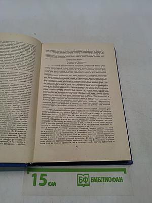 Поэт и гражданин. Избранные статьи