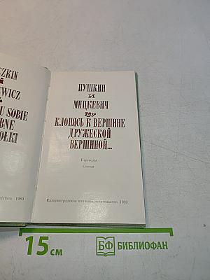 Клонясь к вершине дружеской вершинной...