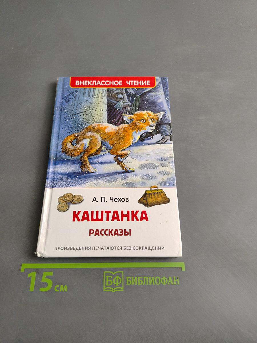 Каштанка. Рассказы