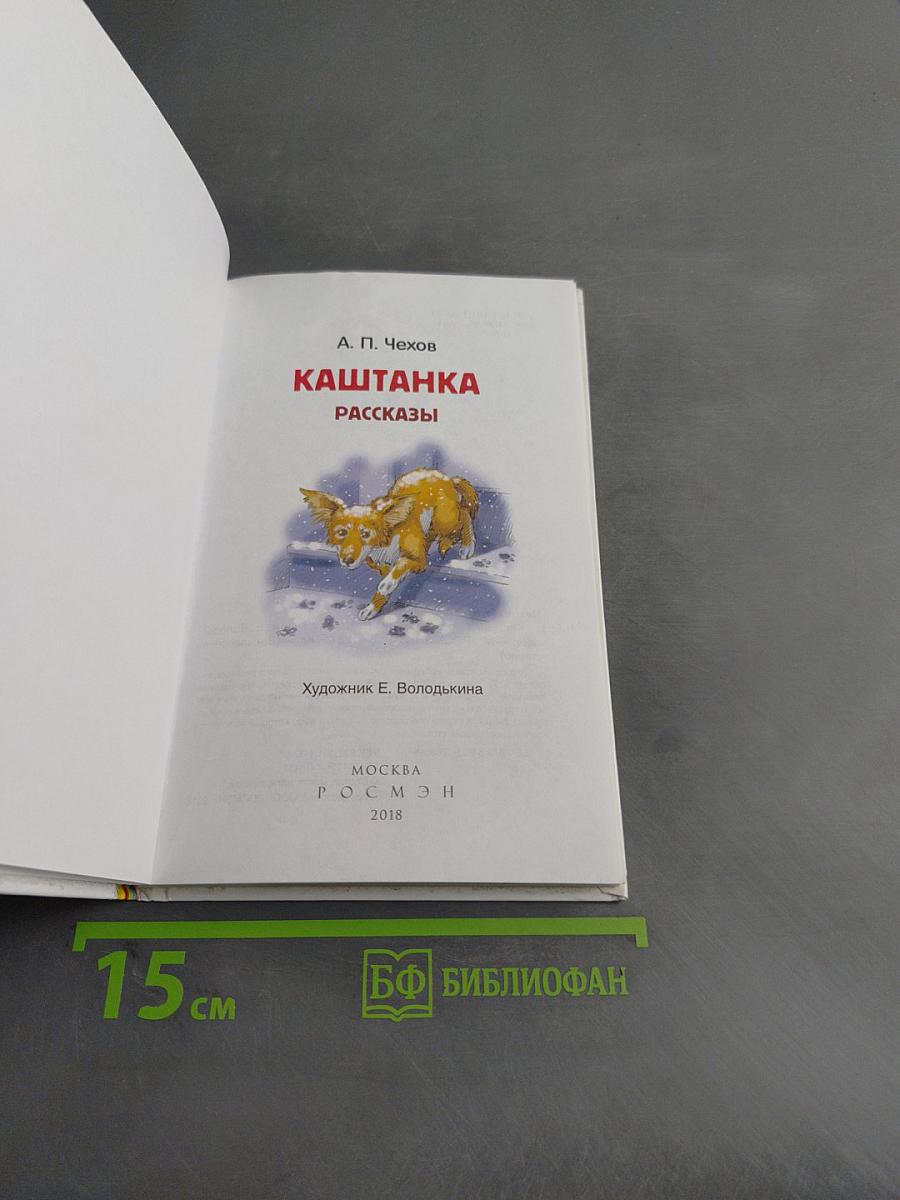 Каштанка. Рассказы