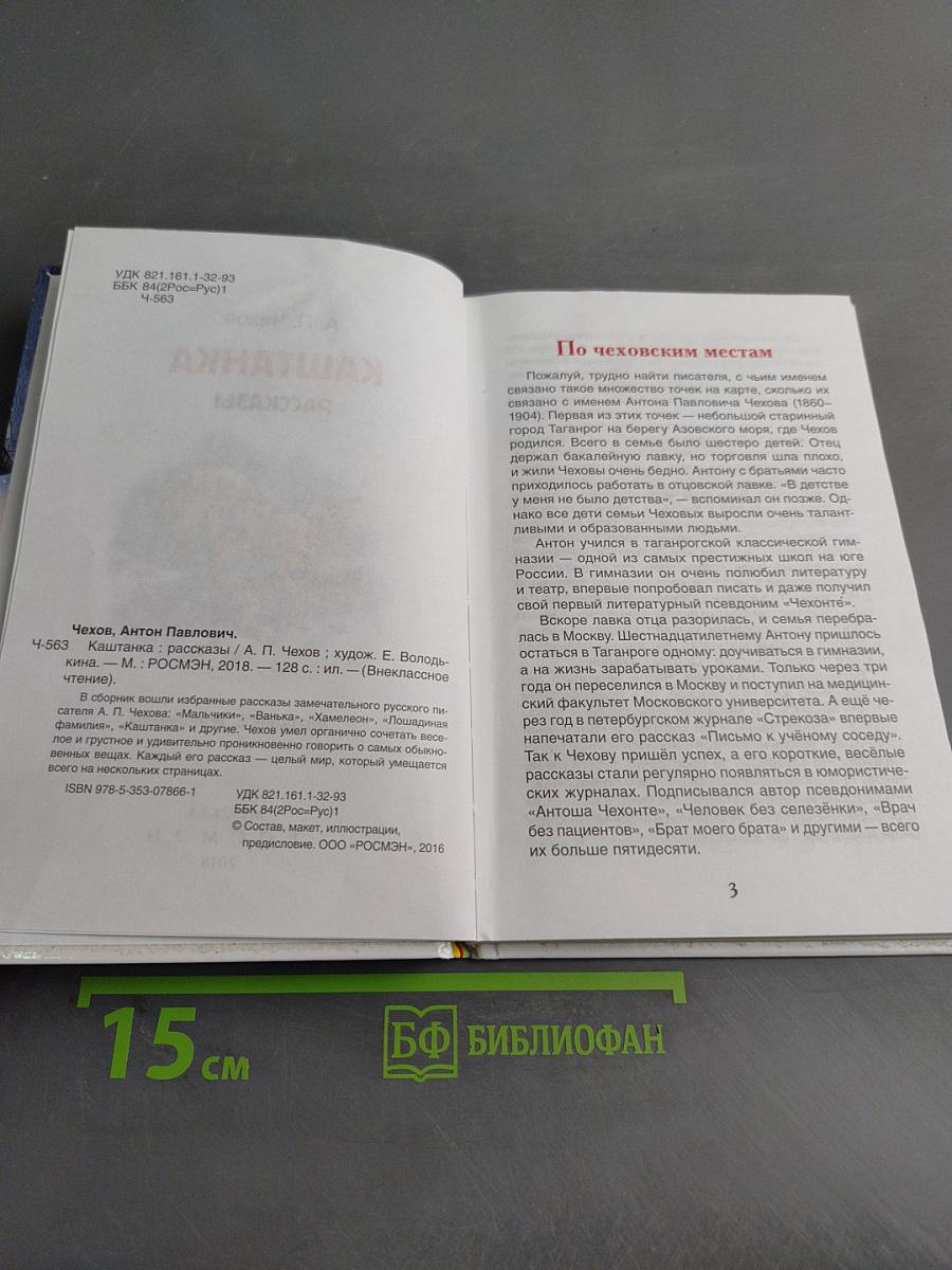 Каштанка. Рассказы