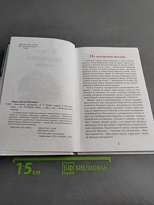 Каштанка. Рассказы