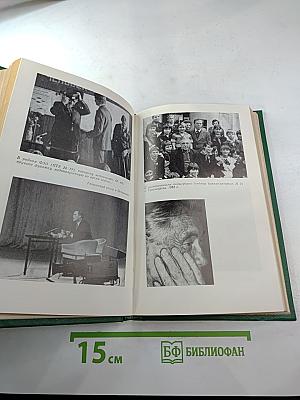 Всему свой час