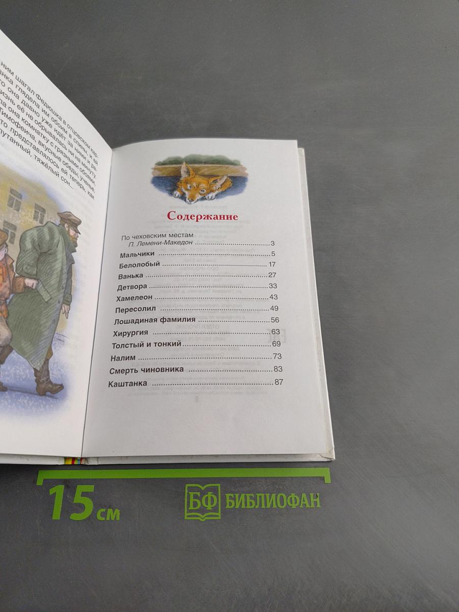 Каштанка. Рассказы