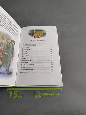 Каштанка. Рассказы