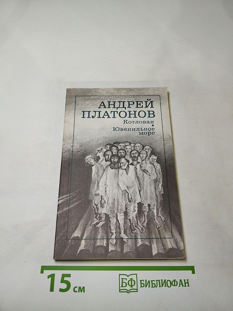 Котлован. Ювенильное море