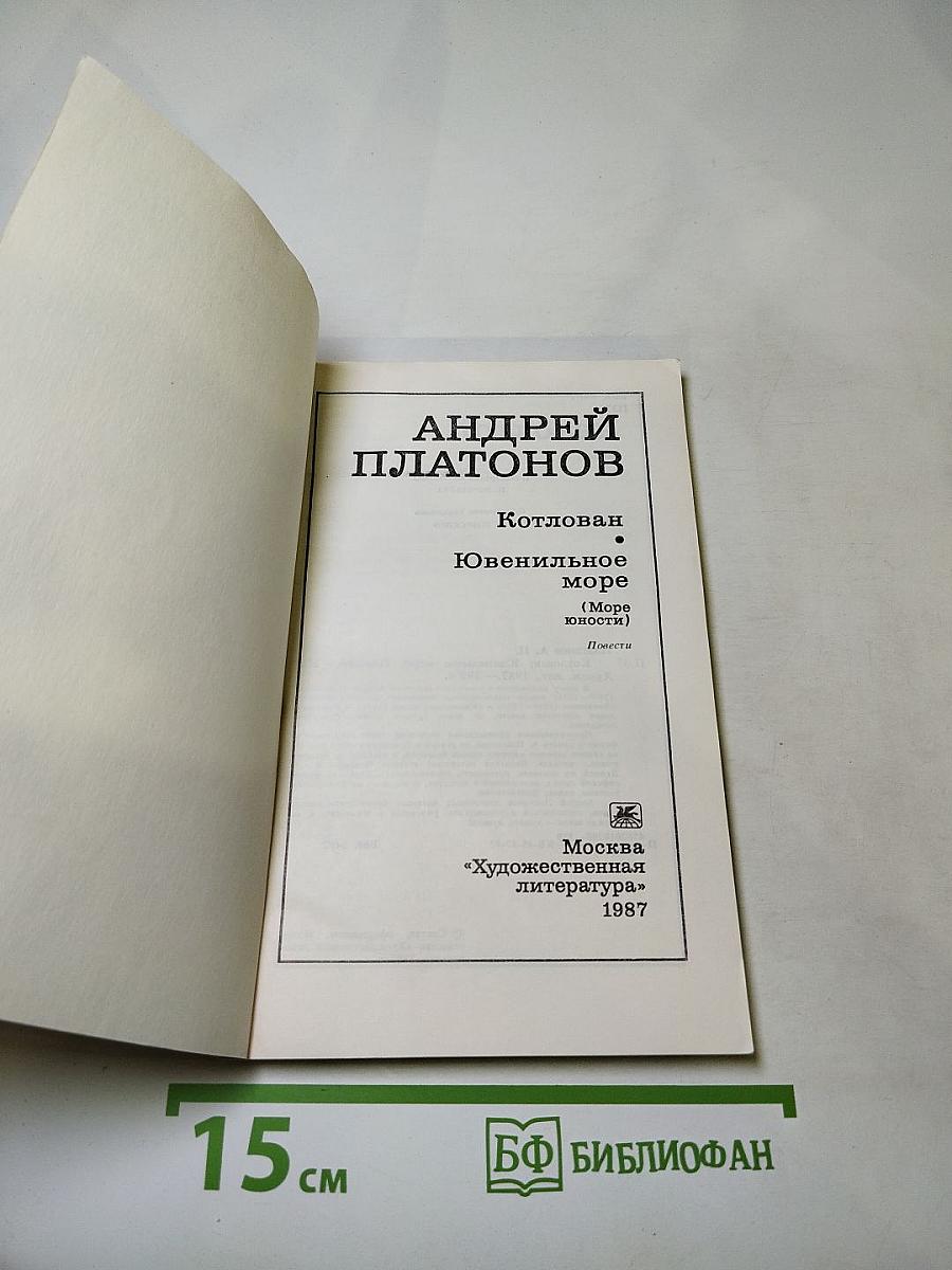 Котлован. Ювенильное море