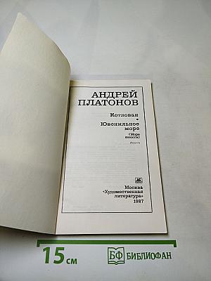 Котлован. Ювенильное море