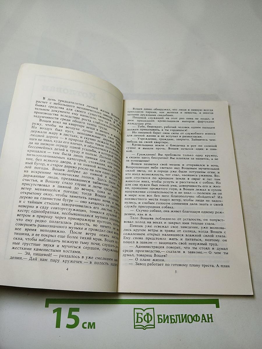 Котлован. Ювенильное море