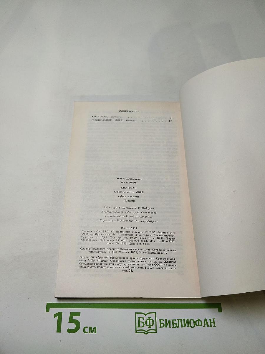 Котлован. Ювенильное море