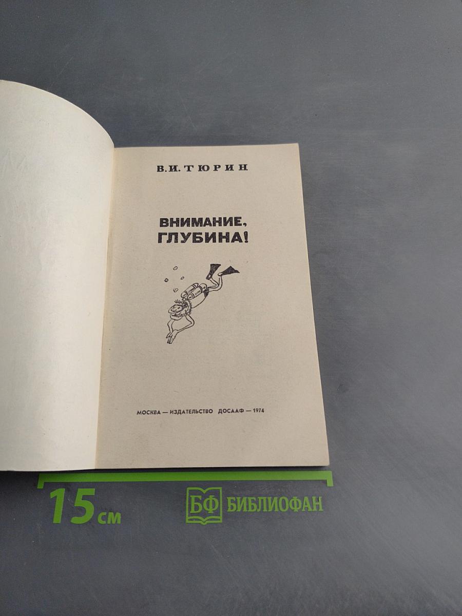 Внимание, глубина!
