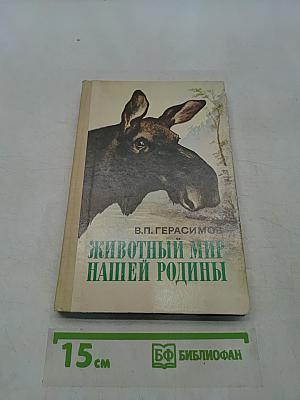 Животный мир нашей родины
