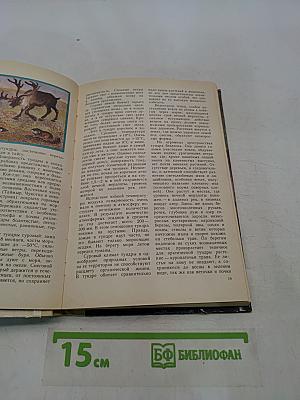 Животный мир нашей родины