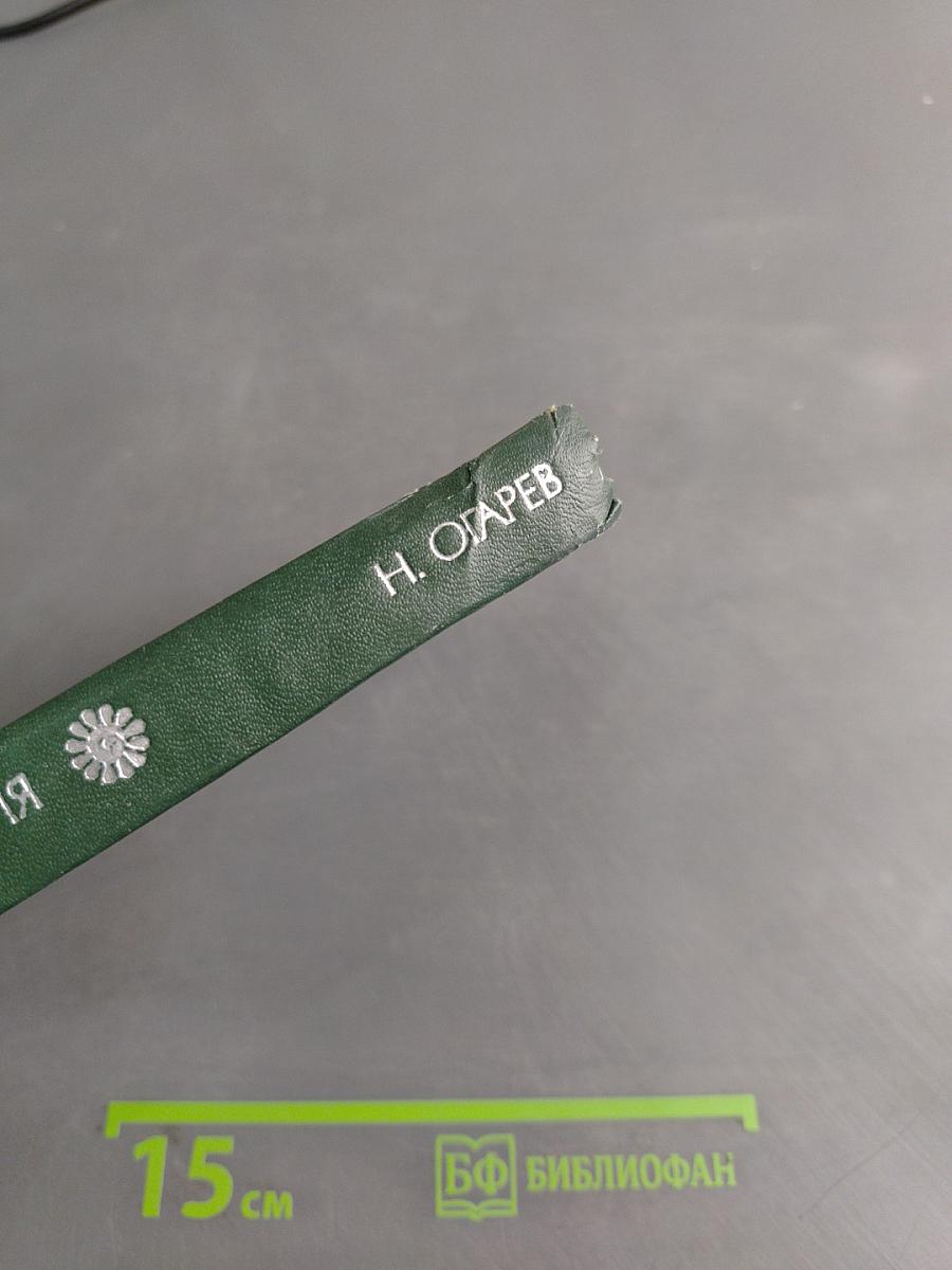 Поэтическая Россия. Стихотворения и поэмы