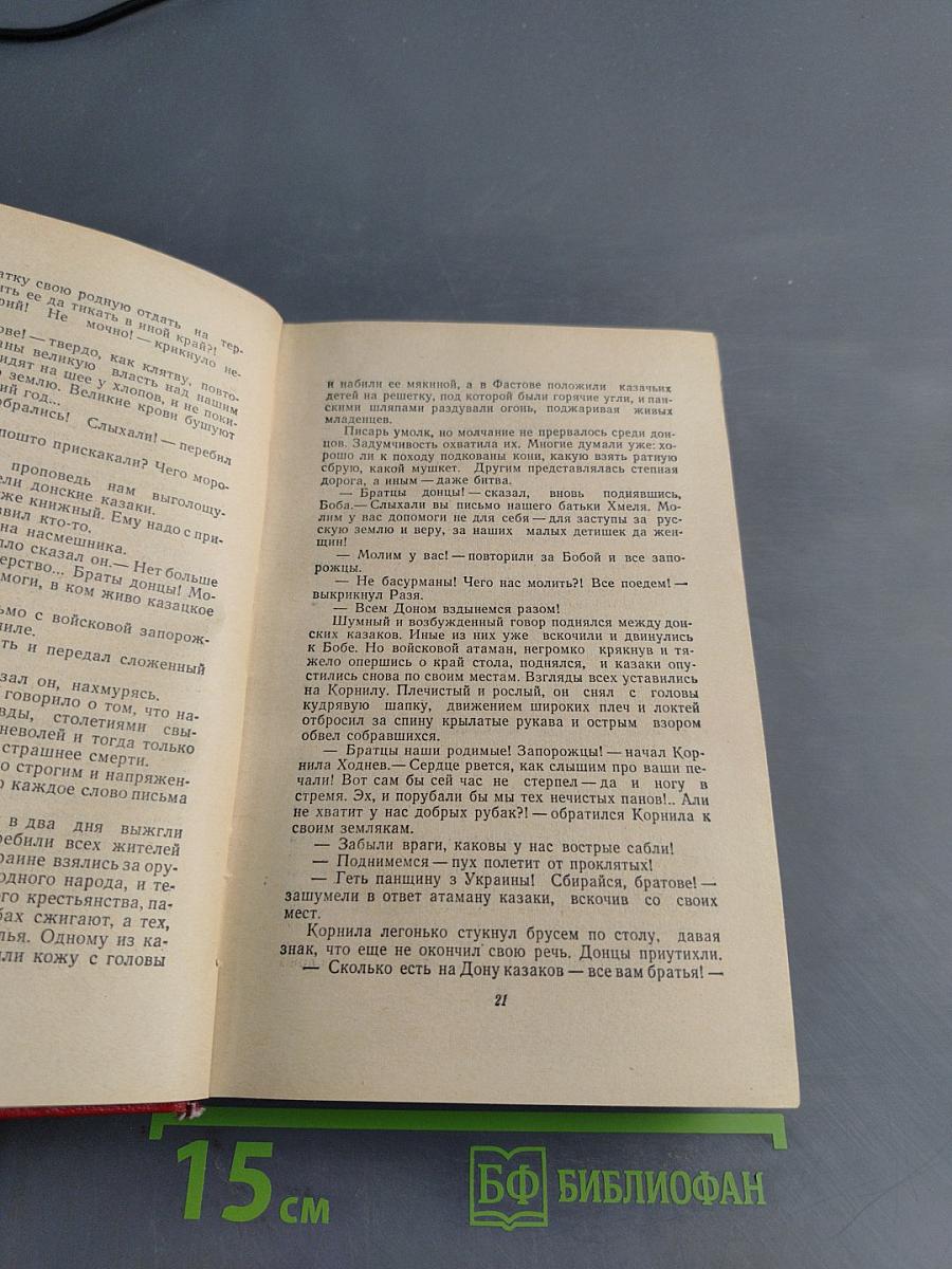 Степан Разин. Исторический роман. Книга первая