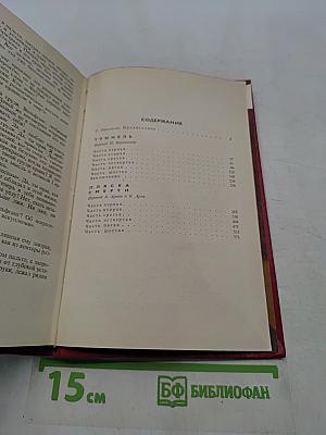 Туннель. Пляска смерти
