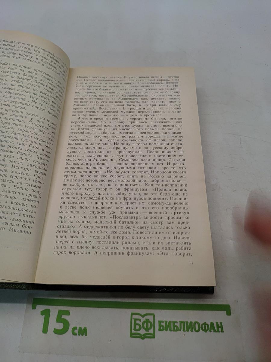 На горах. Продолжение рассказов «В лесах». Книга первая