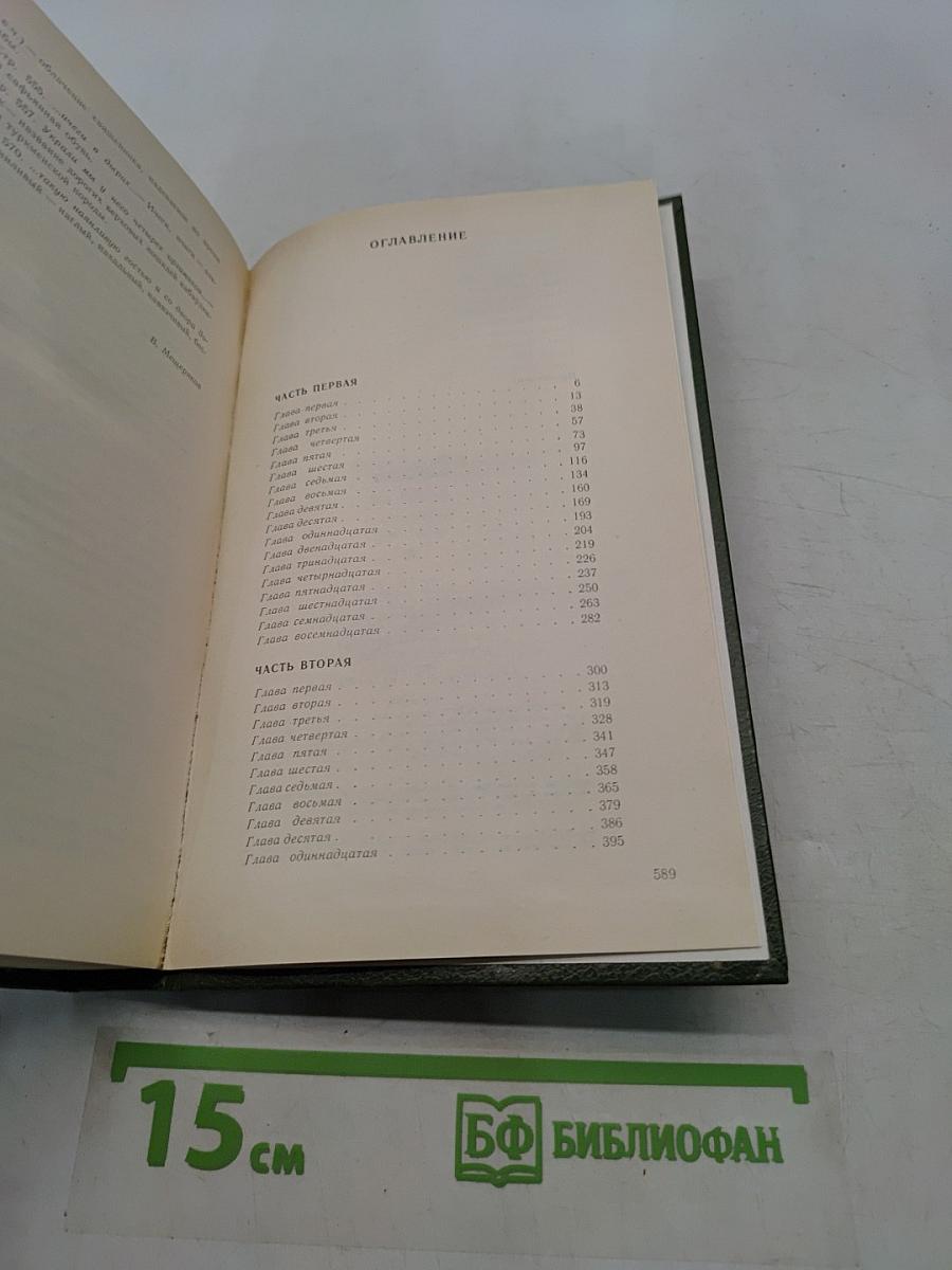 На горах. Продолжение рассказов «В лесах». Книга первая