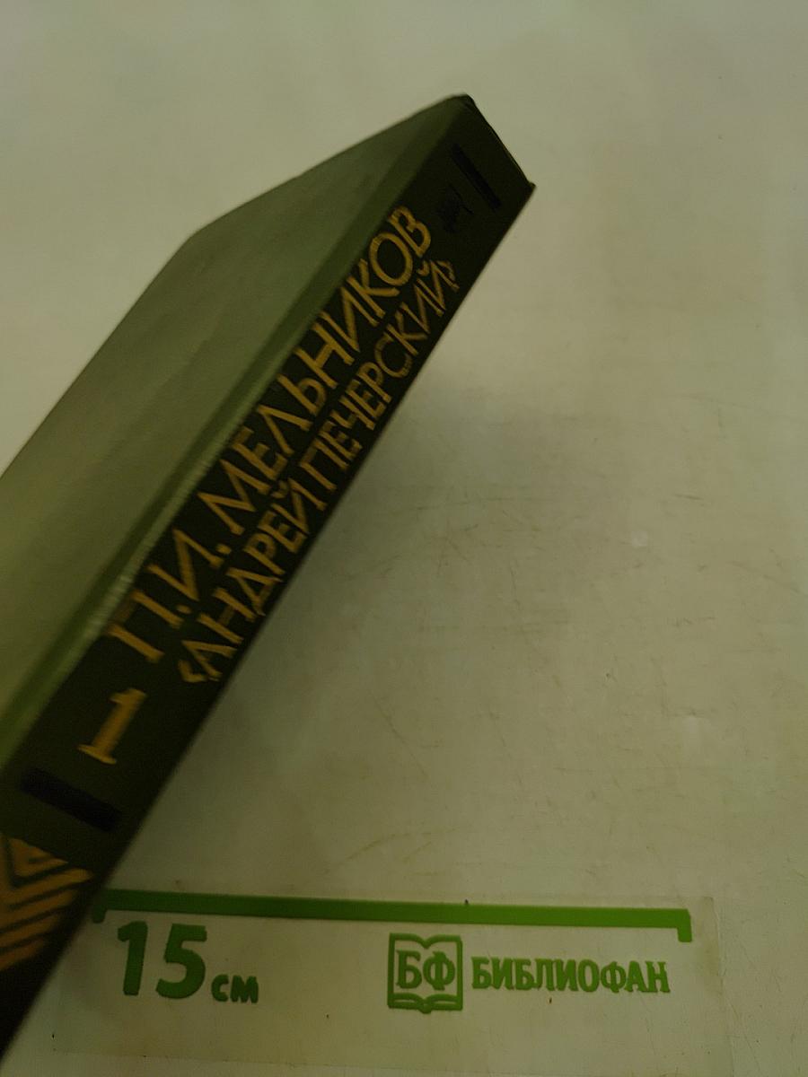 На горах. Продолжение рассказов «В лесах». Книга первая