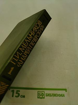 На горах. Продолжение рассказов «В лесах». Книга первая
