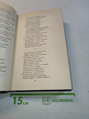 Собрание сочинений. Том четвертый. Поэмы 1855–1877 гг.