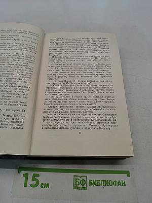Степан Разин. Исторический роман. Книга первая