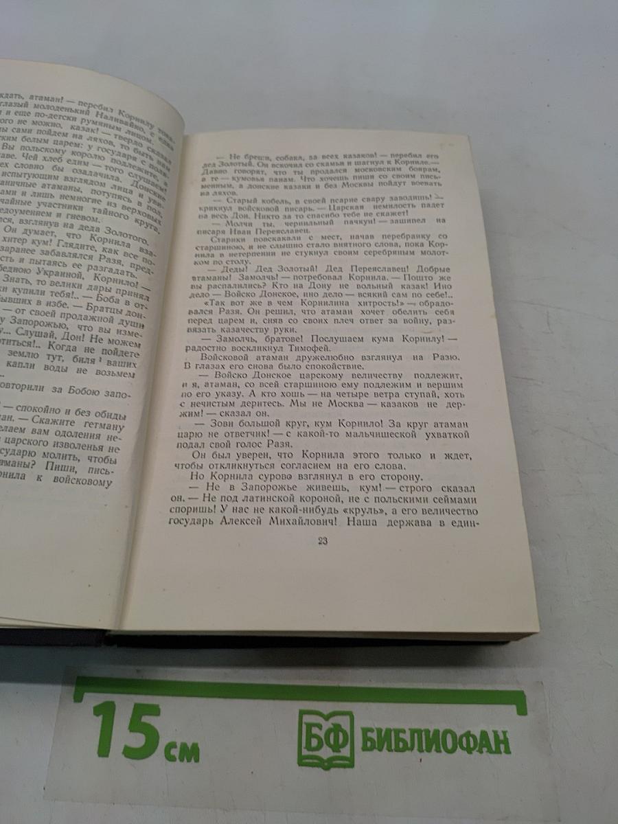 Степан Разин. Исторический роман. Книга первая