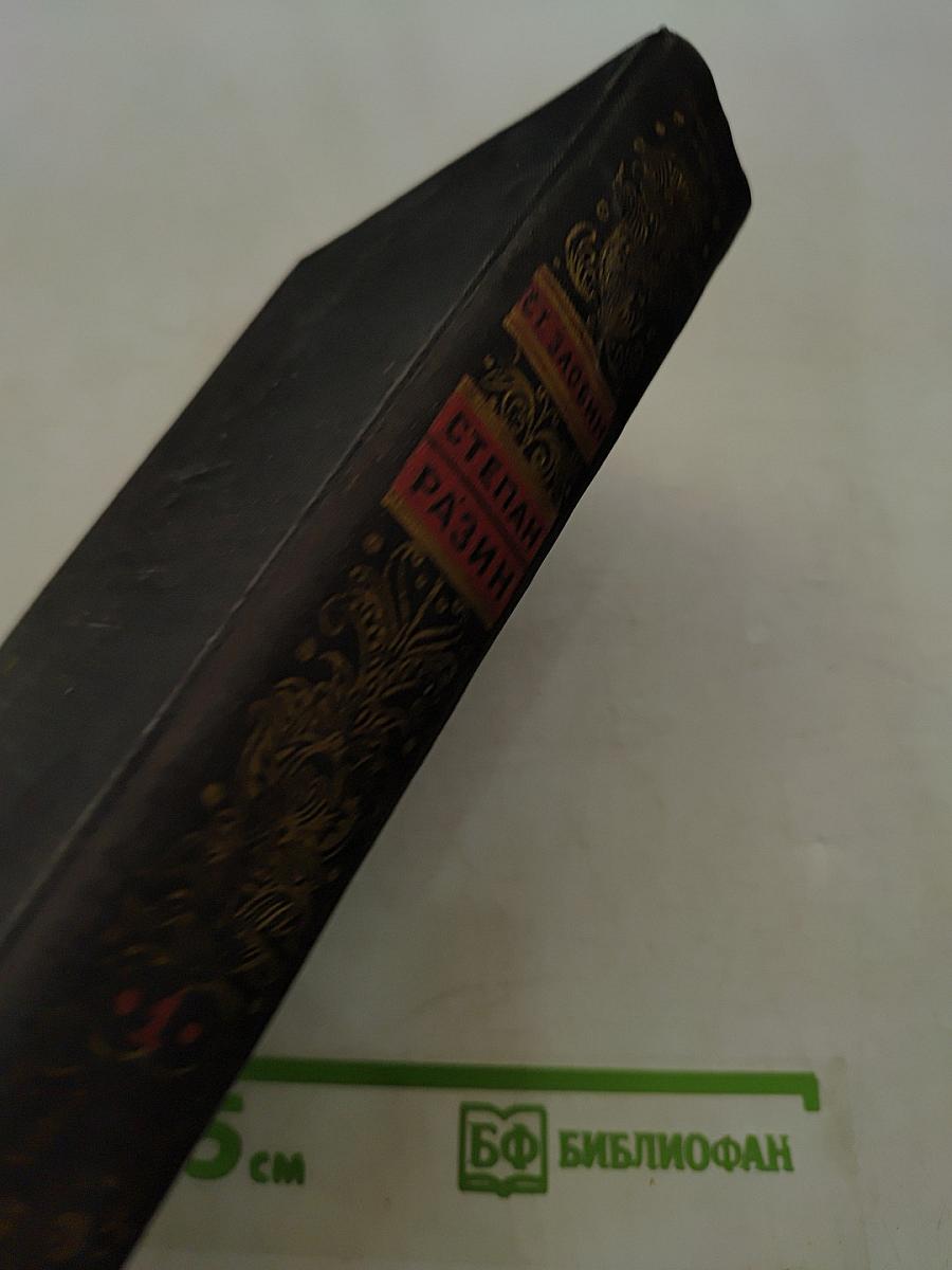 Степан Разин. Исторический роман. Книга первая