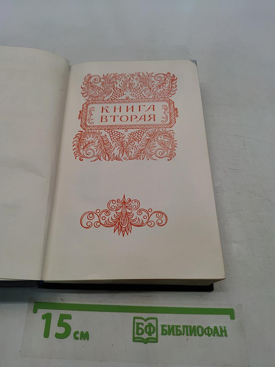 Степан Разин. Книга вторая