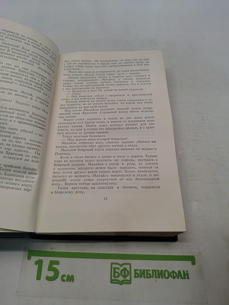 Степан Разин. Книга вторая