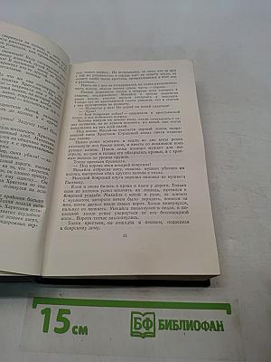 Степан Разин. Книга вторая