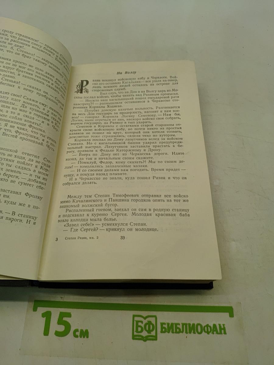 Степан Разин. Книга вторая
