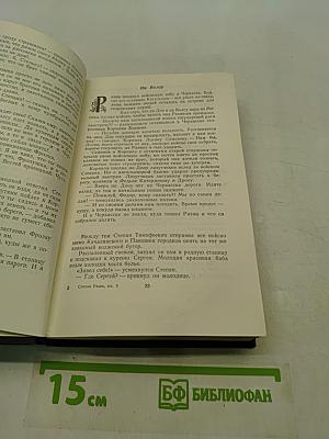 Степан Разин. Книга вторая