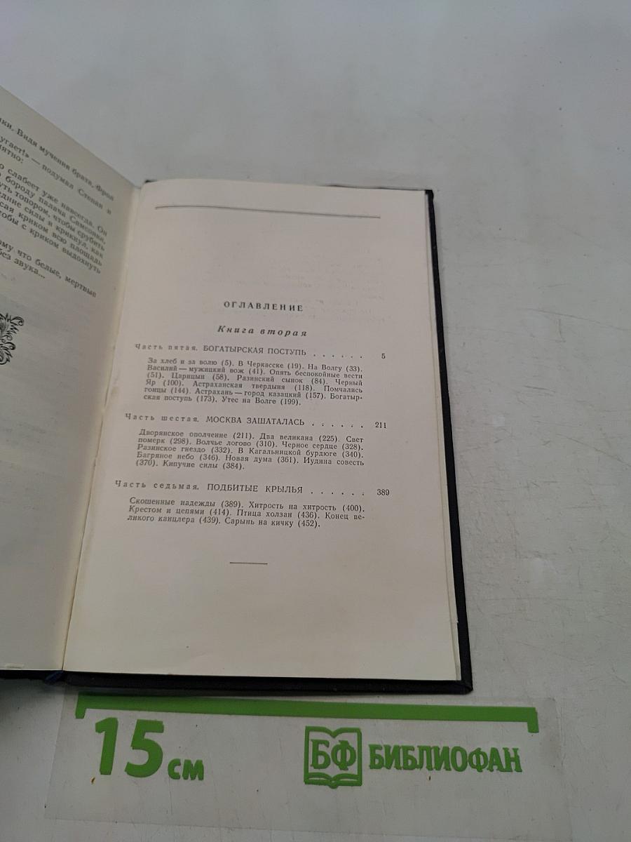 Степан Разин. Книга вторая
