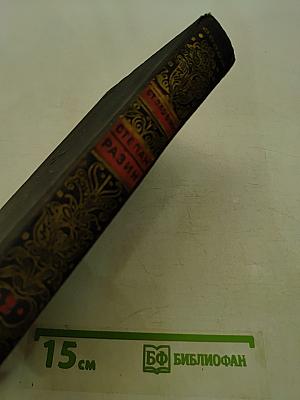 Степан Разин. Книга вторая
