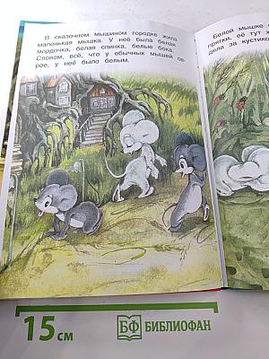 Белая Шкурка. Чьи в лесу шишки?