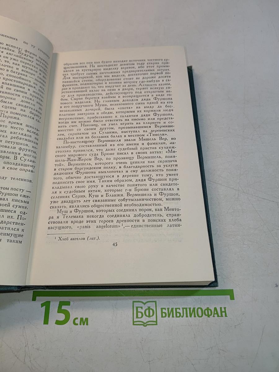 Человеческая комедия. Том 18