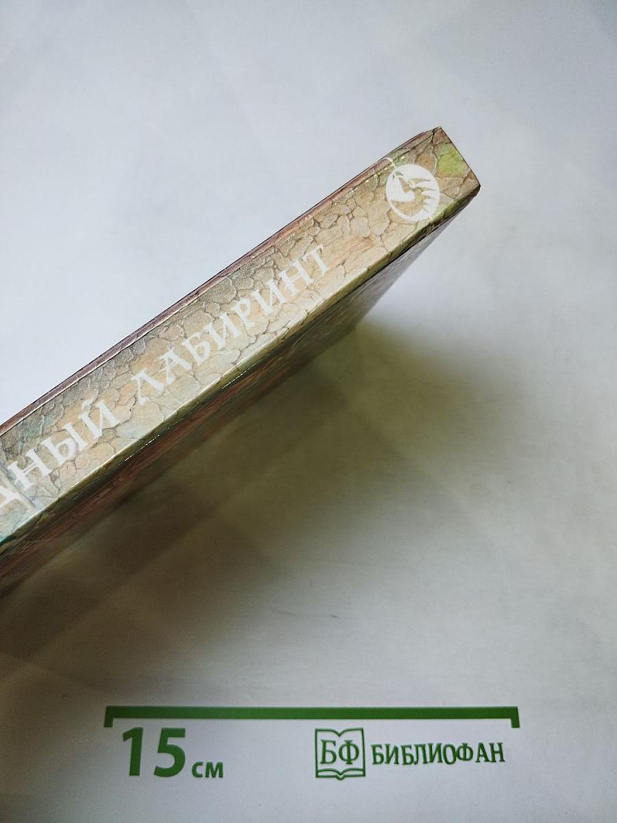 Звездный лабиринт