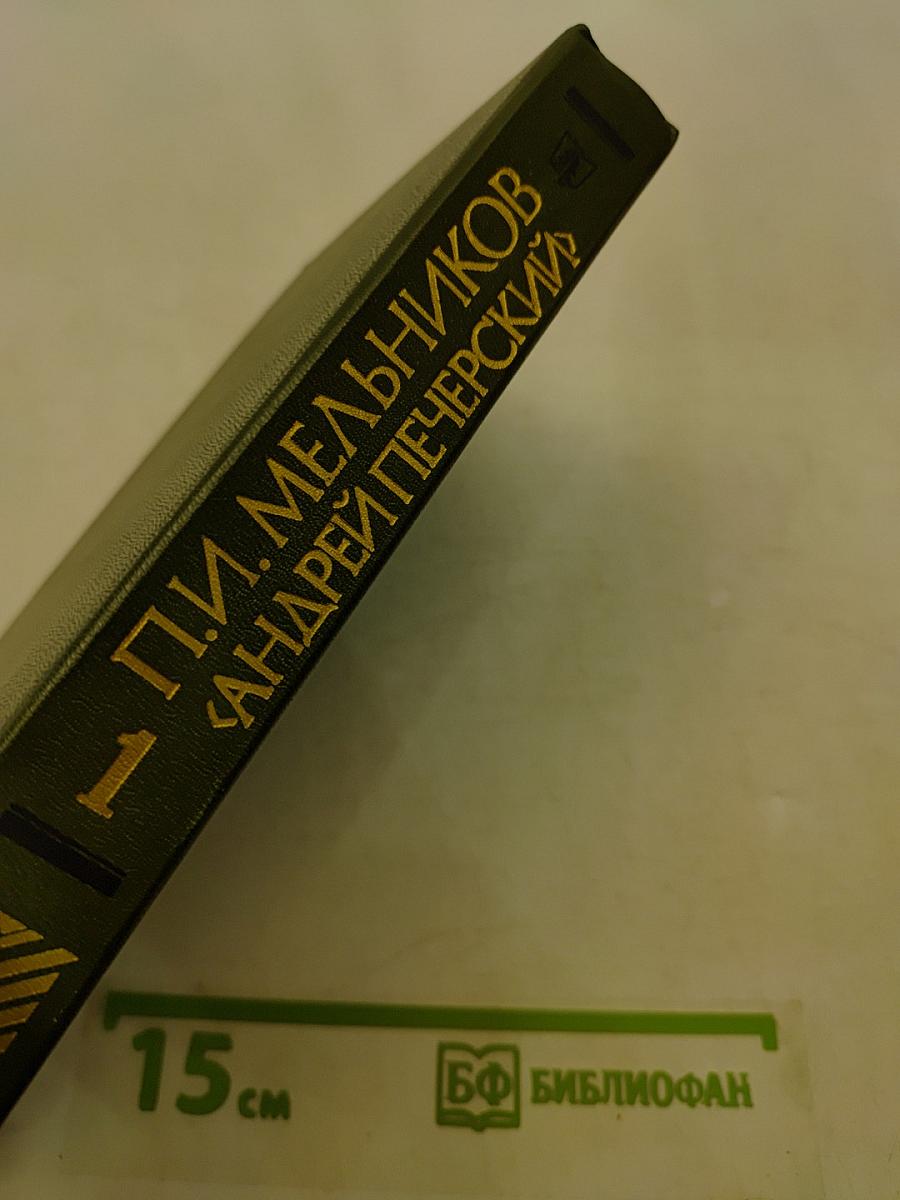На горах. Книга первая