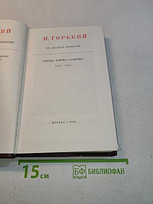 Жизнь Клима Самгина. Том двадцать четвертый