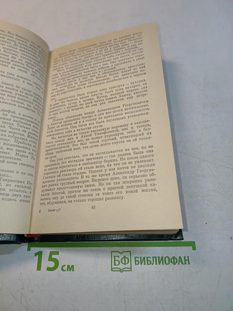 Писатели чеховской поры. Том второй