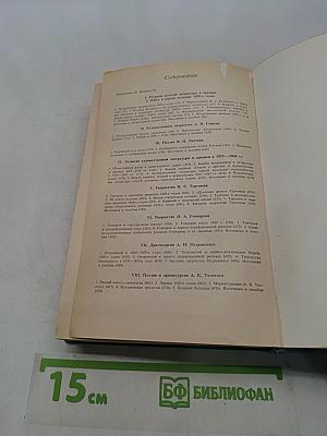 История русской литературы XIX века