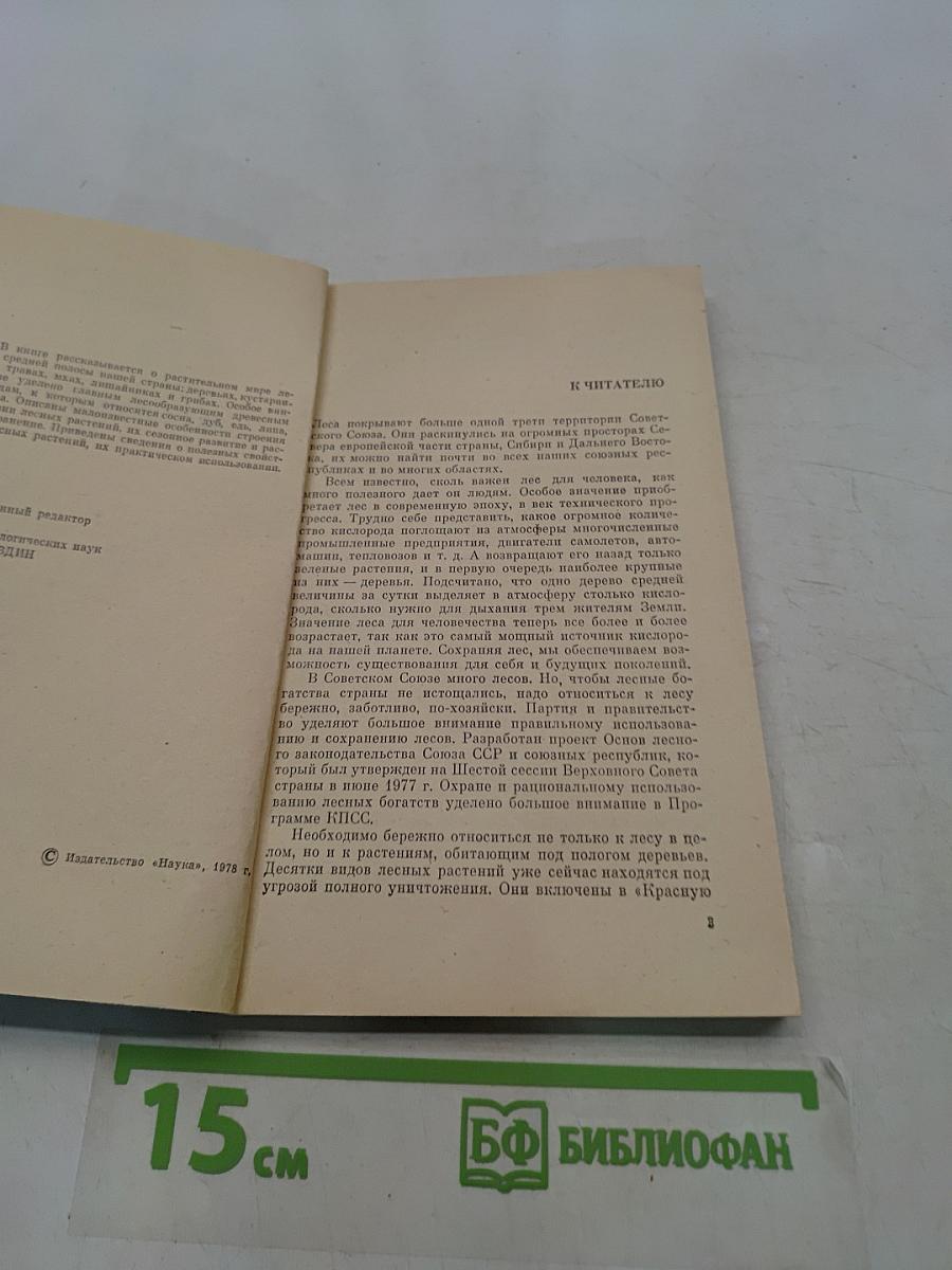 Мир лесных растений