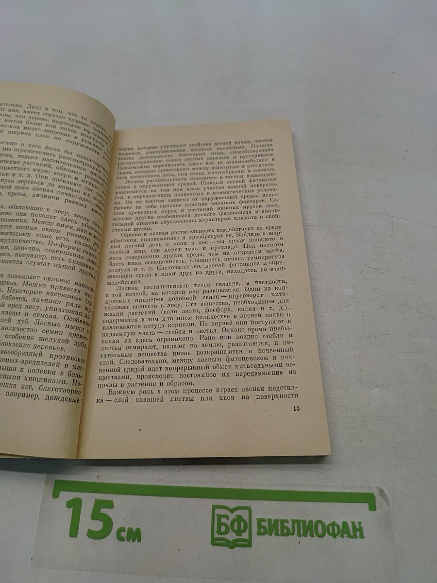 Мир лесных растений