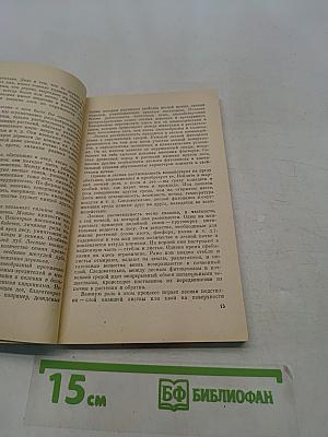 Мир лесных растений