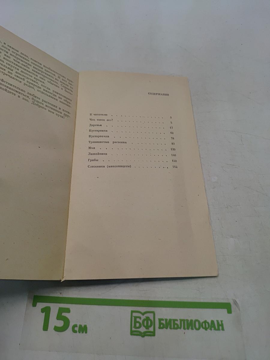 Мир лесных растений