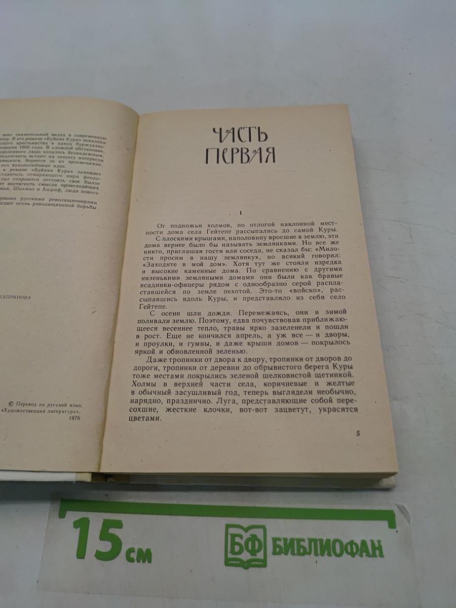 Буйная Кура