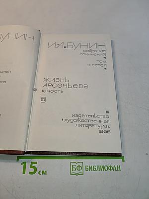 Жизнь Арсеньева. Юность. Собрание сочинений. Том шестой