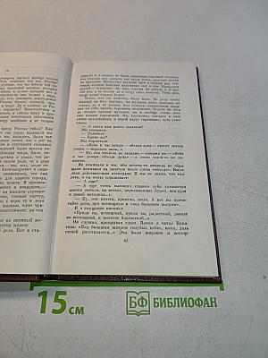 Жизнь Арсеньева. Юность. Собрание сочинений. Том шестой
