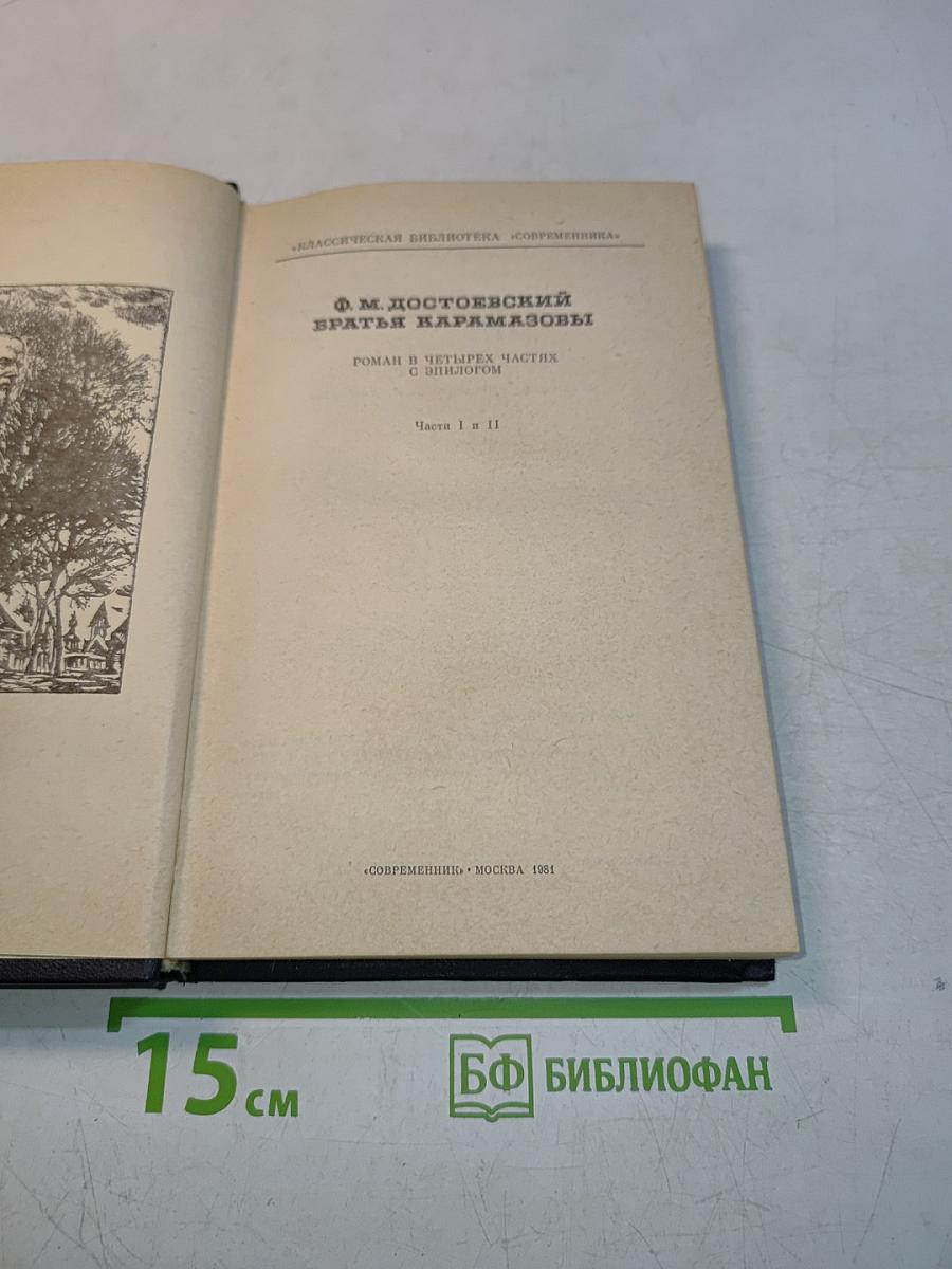 Братья Карамазовы. Часть 1 и 2